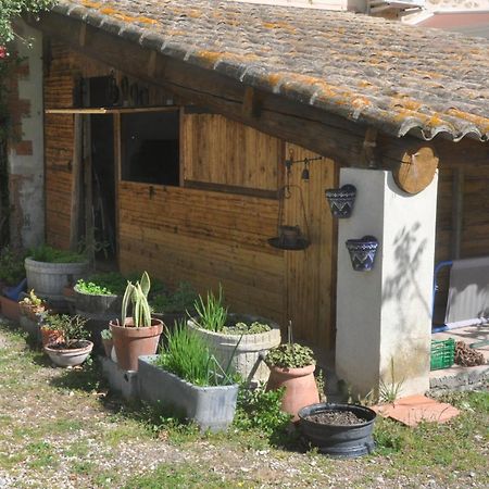 La Ferme De Tonton Jules 2 Otel Entraigues-sur-la-Sorgue Dış mekan fotoğraf