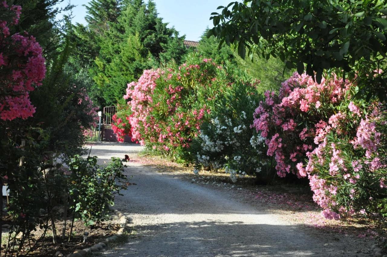 La Ferme De Tonton Jules 2 Otel Entraigues-sur-la-Sorgue Dış mekan fotoğraf